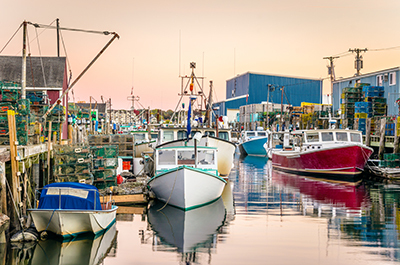Adobe Stock 95054912 400x265